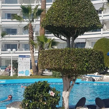 Lägenhet Apartamento Puerto Colon Costa Adeje (Tenerife)